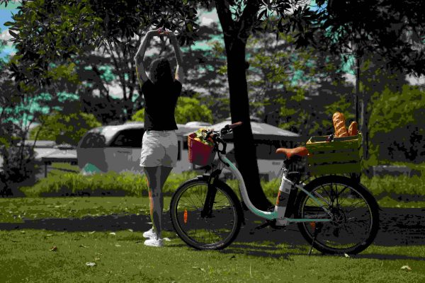 C6 PRO - Image 7