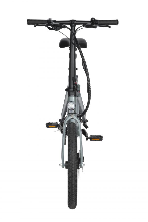 T1 - Image 10